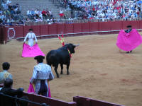 corrida20.jpg