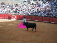 corrida34.jpg