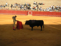 corrida43.jpg